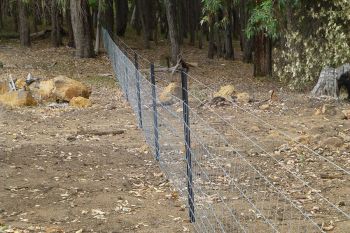 Galvanised_mesh_rural_fencing